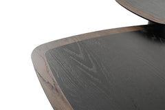 Gale Coffee Tables Set of 2 - ROVE PAKISTAN