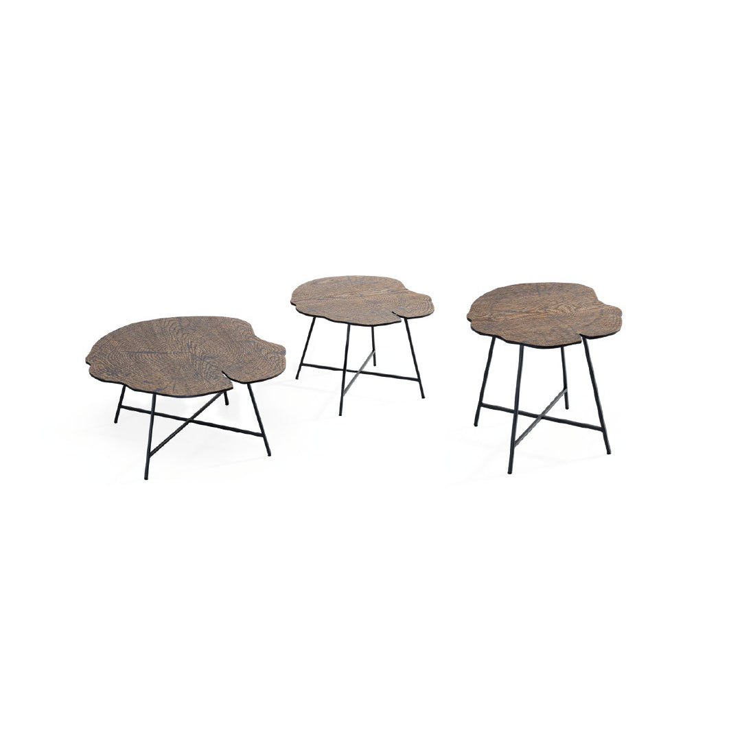 Dayle Coffee Table (Set of 3) - ROVE