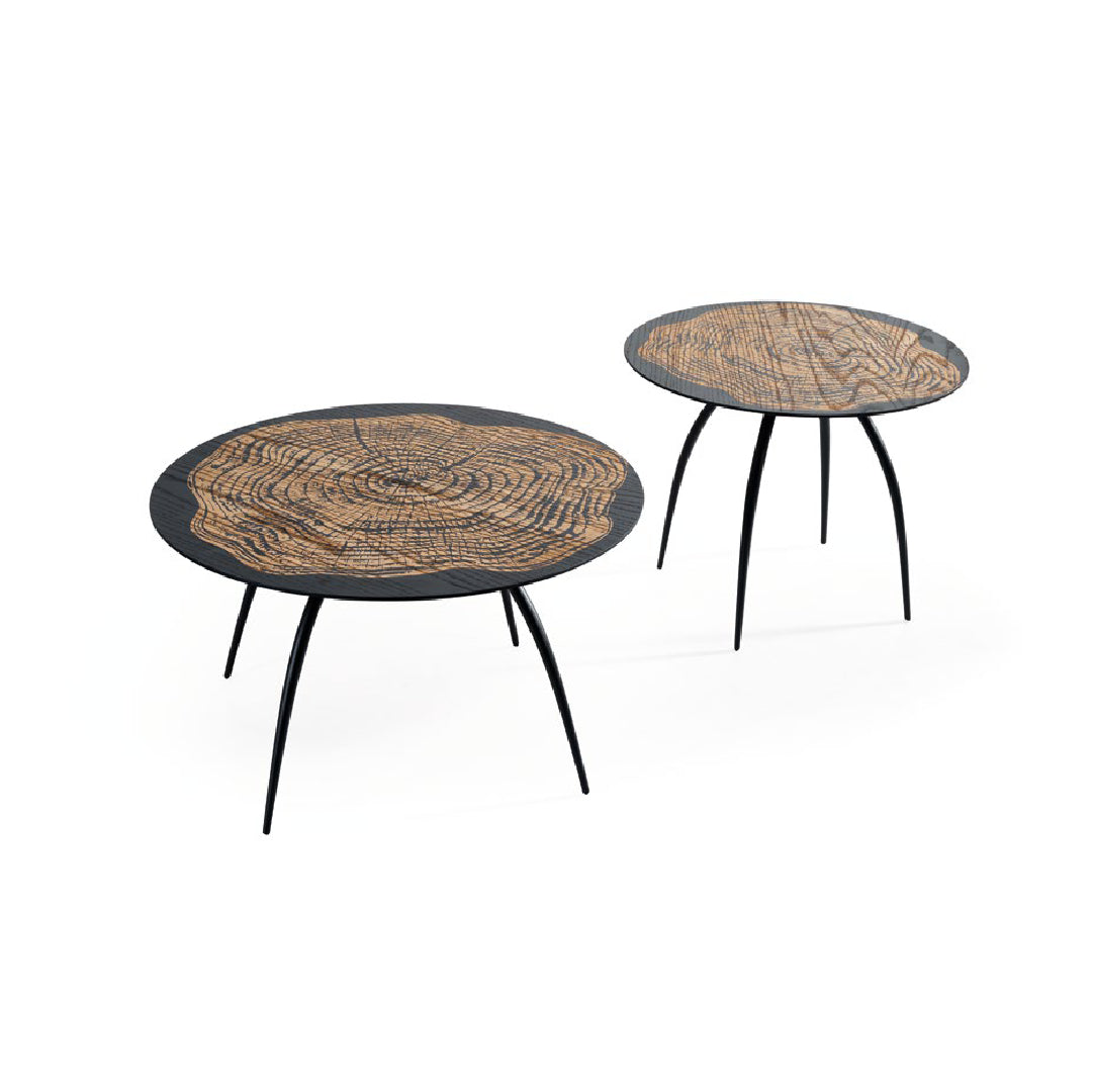 Paros Coffee Table Set of 2 - ROVE PAKISTAN